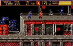 Ninja Gaiden II: The Dark Sword of Chaos